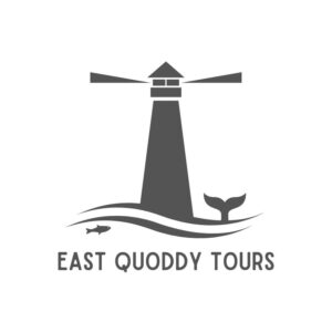 Whale Watching Tours