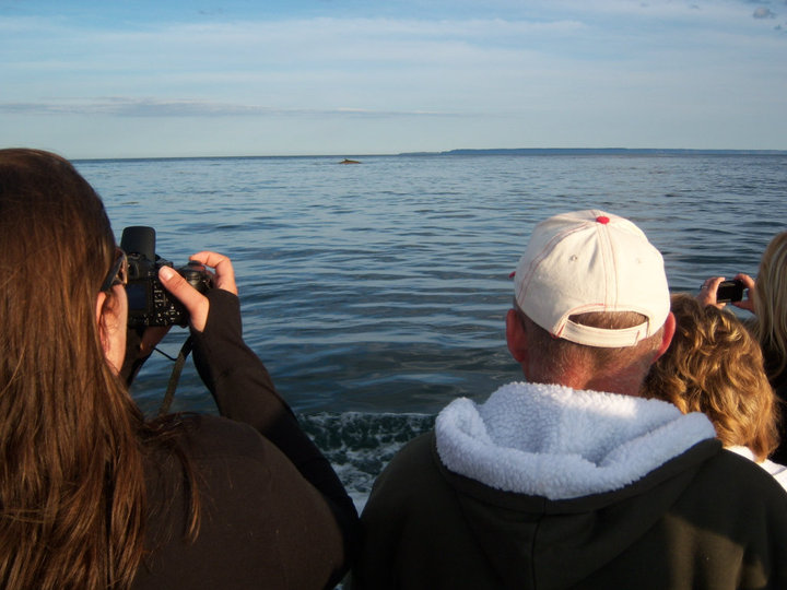 things to do on campobello