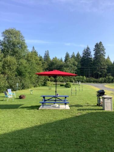 lawn with picnic table bbq and chairs