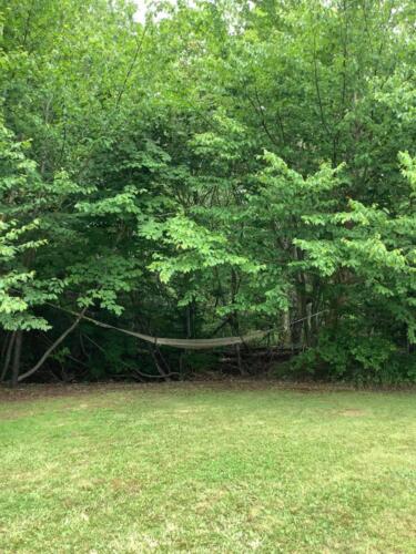 hammock in the edge of the tree